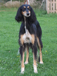 Kati